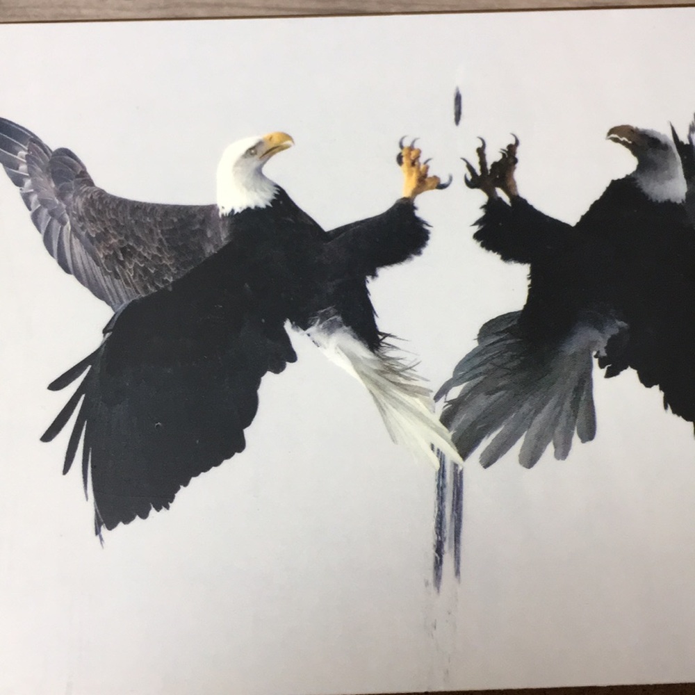 The Ozarks Small Storage Wood  Box Eagles Print